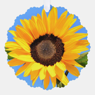 Tarjeta de ornamento de Navidad de girasol amarill