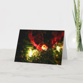 Tarjeta de Ornamento de Navidad y Luces Brillantes