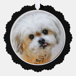 Tarjeta de ornamento de papel de Malshi