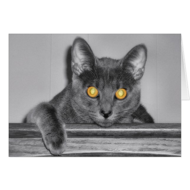 Tarjeta de oro Dusky (Anverso (Horizontal))