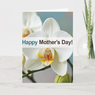Tarjeta de orquídea con pancarta horizontal