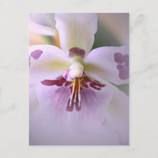 Tarjeta de orquídea de cierre