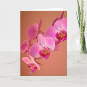 Tarjeta de orquídeas rosadas