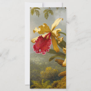 Tarjeta de orquídeas y colibrí de Heade