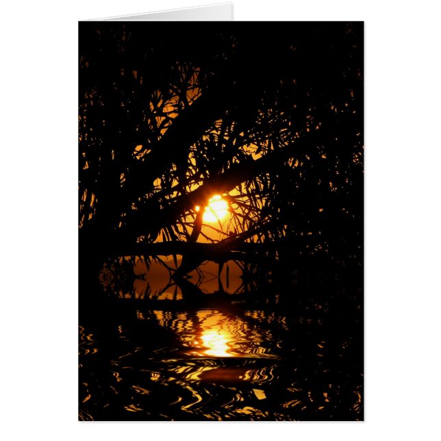 Tarjeta de oscuridad del atardecer (Frente)