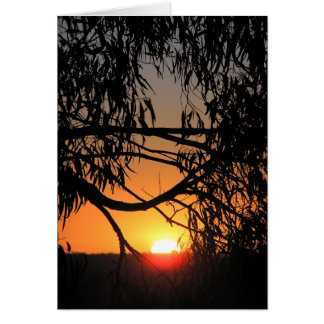 Tarjeta de oscuridad del atardecer