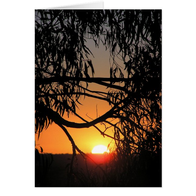 Tarjeta de oscuridad del atardecer (Frente)