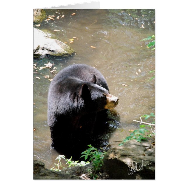 Tarjeta De Oso (Frente)