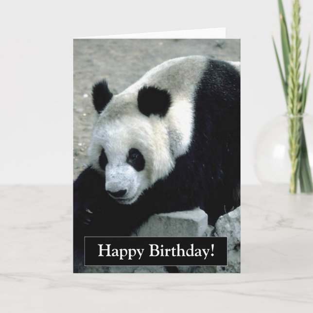 Tarjeta de oso de cumpleaños feliz Panda (Anverso)