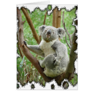 Tarjeta de Oso de Koala