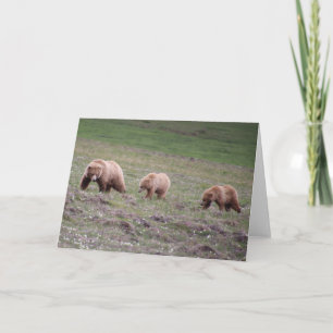 Tarjeta de oso mamá para el día de la madre