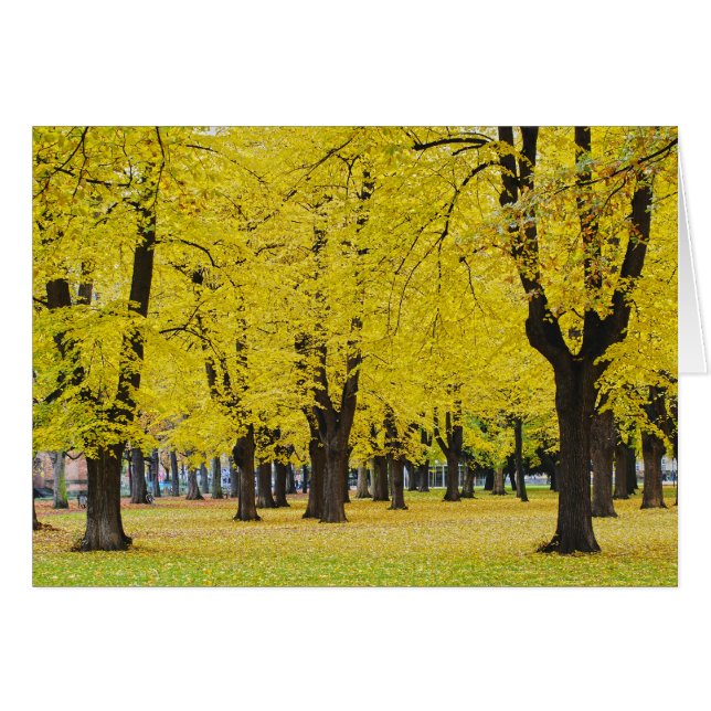 Tarjeta de otoño (Anverso (Horizontal))