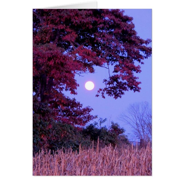 Tarjeta de otoño con luna llena, roble de tablilla (Frente)