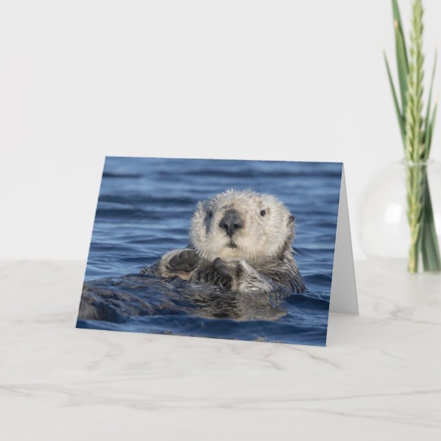 Tarjeta de Otter Sea Adorable (Anverso)