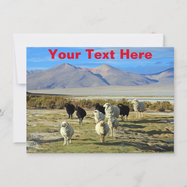 Tarjeta de oveja chilena personalizable (Anverso)