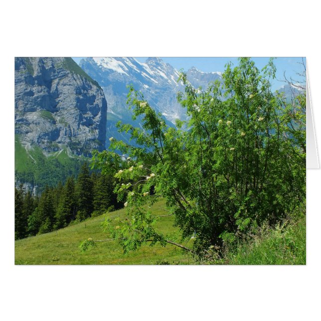 Tarjeta de paisaje alpino (Anverso (Horizontal))