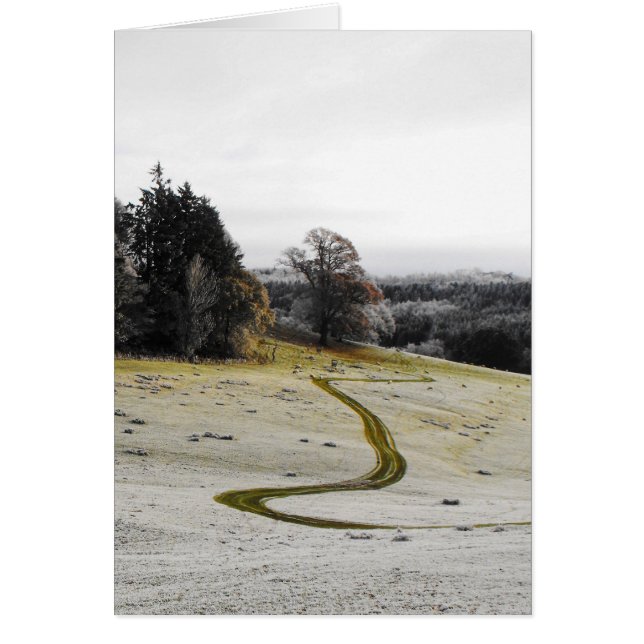 Tarjeta de paisaje de pista congelada (Frente)