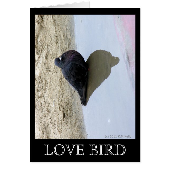 Tarjeta de Pájaros de Amor (Frente)