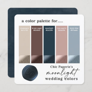 Tarjeta de paleta color de casada de invierno de R