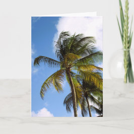 Tarjeta de palma en blanco
