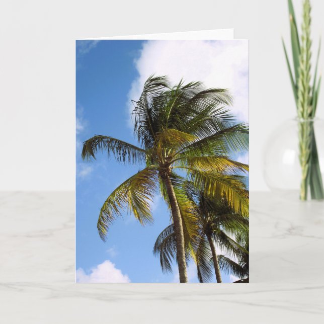 Tarjeta de palma en blanco (Anverso)