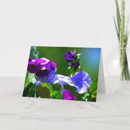 TARJETA DE PANSY-CUALQUIER OCASIÓN