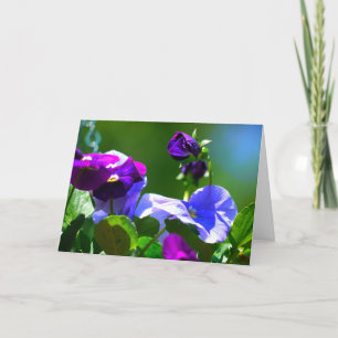 TARJETA DE PANSY-CUALQUIER OCASIÓN
