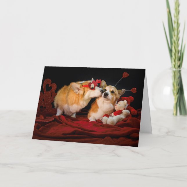 Tarjeta de pareja Corgi en blanco (Anverso)