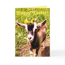 Tarjeta de pascua adorable de la cabra del bebé