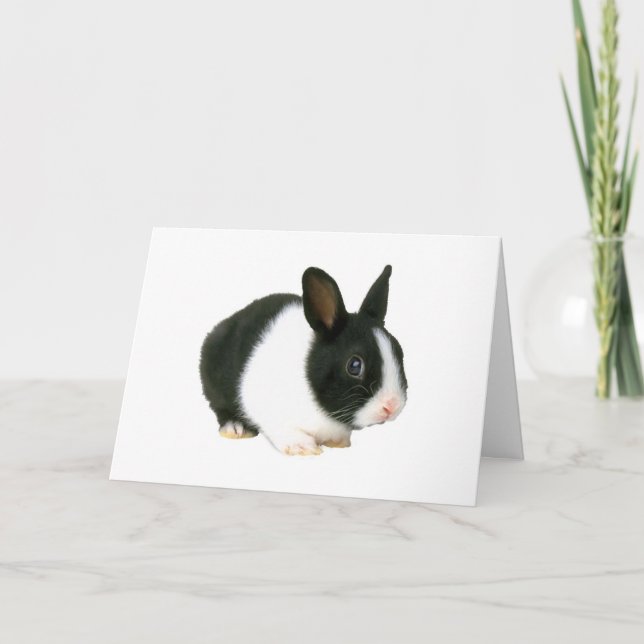 Tarjeta de pascua blanco y negro del conejo de (Anverso)