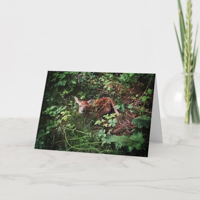 Tarjeta de Pascua "Bosques de ciervos de cola blan (Anverso)