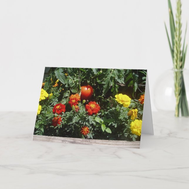 Tarjeta de Pascua "Como una pelota de goma roja" (Anverso)