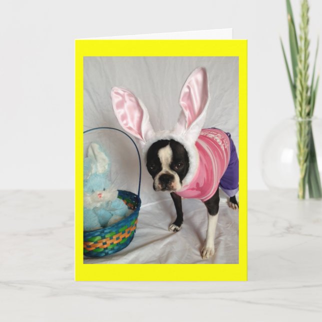 Tarjeta de Pascua con conejo Boston Terrier (Anverso)