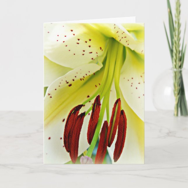 Tarjeta de pascua con el lirio (Anverso)