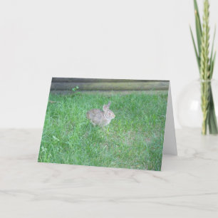 Tarjeta de Pascua "Conejo #1"