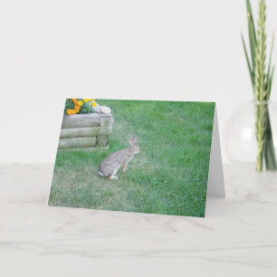 Tarjeta de Pascua "Conejo #2"