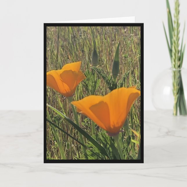 Tarjeta de Pascua de Amapolas Doradas 3 (Anverso)