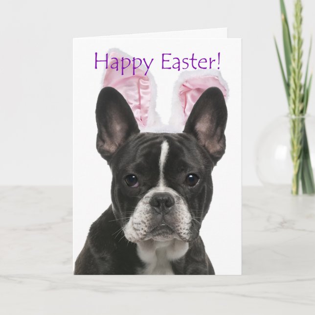 Tarjeta de Pascua de Bulldog Francés (Anverso)