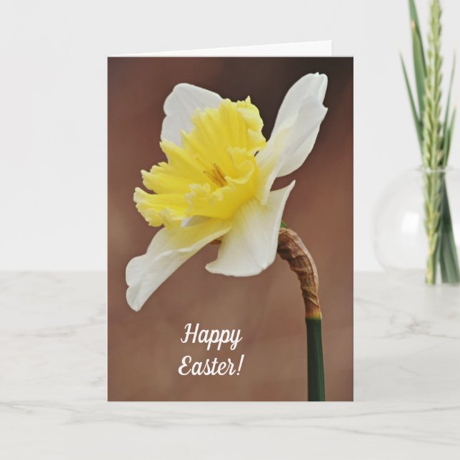 Tarjeta de Pascua de flor de narciso en flor (Anverso)