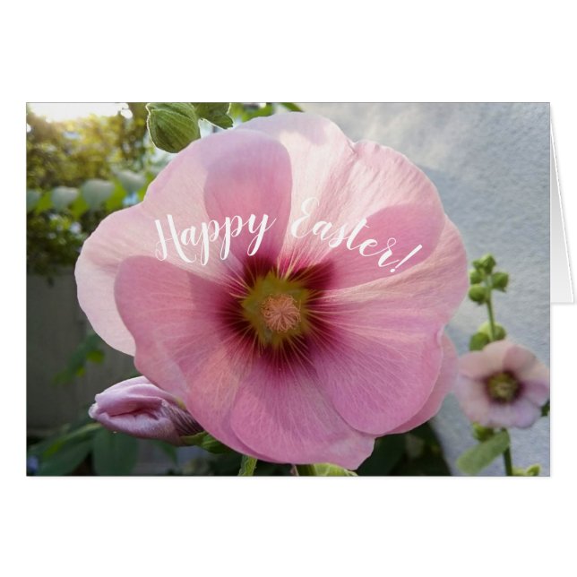Tarjeta de Pascua de Flor Rosa brillante Hollyhock (Anverso (Horizontal))