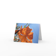 Tarjeta de Pascua de Flor Tigre Lily