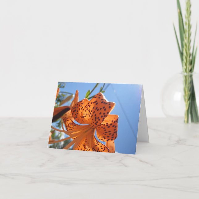 Tarjeta de Pascua de Flor Tigre Lily (Anverso)