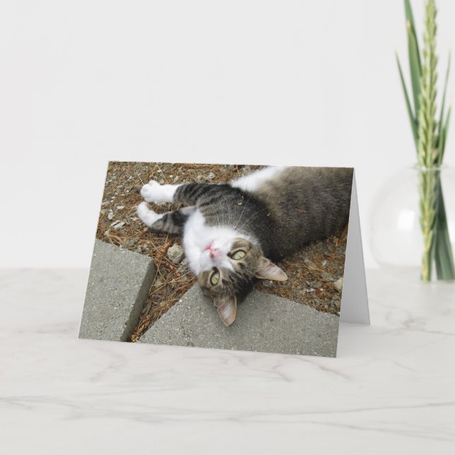 Tarjeta de Pascua de Gato de Pata boca abajo (Anverso)