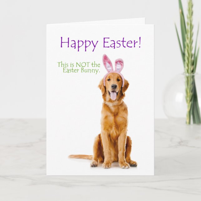Tarjeta de pascua de oro divertida (Anverso)