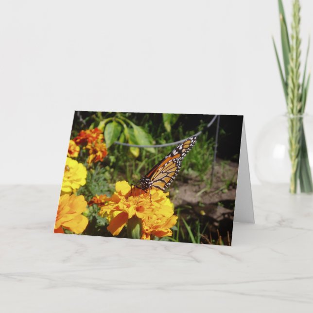 Tarjeta de Pascua "En Reposo" (Anverso)