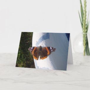 Tarjeta de Pascua "Ernie la Mariposa"