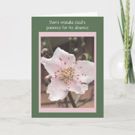 Tarjeta de Pascua, Flor de Peach Rosa, Verso de De