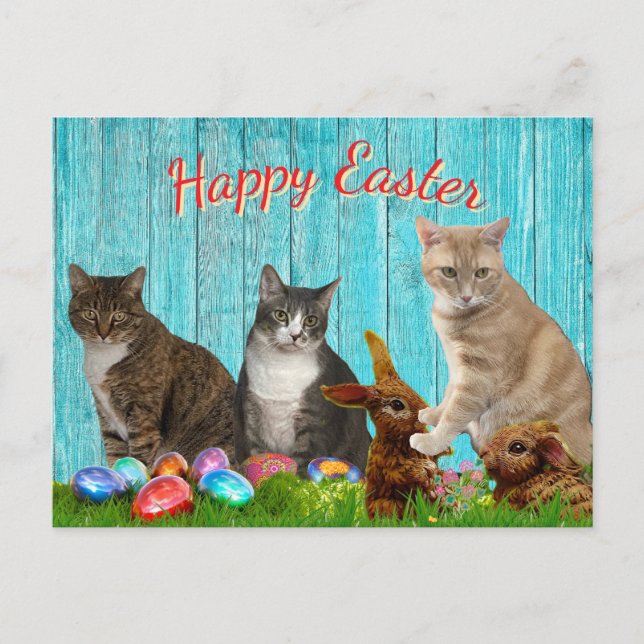 Tarjeta de Pascua - Gatos y conejos (Anverso)