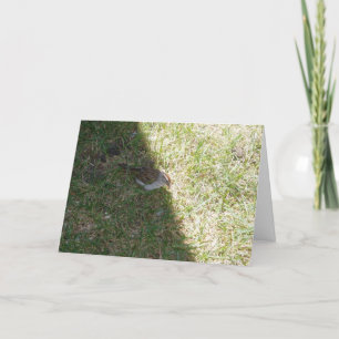 Tarjeta de Pascua "Hora de Almuerzo"