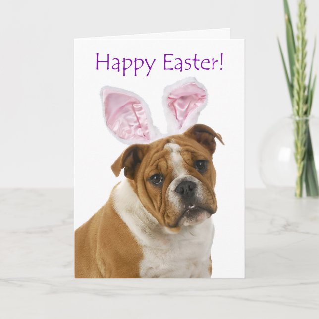 Tarjeta de pascua linda del bulldog (Anverso)